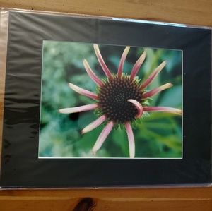 8 x 12 floral art print